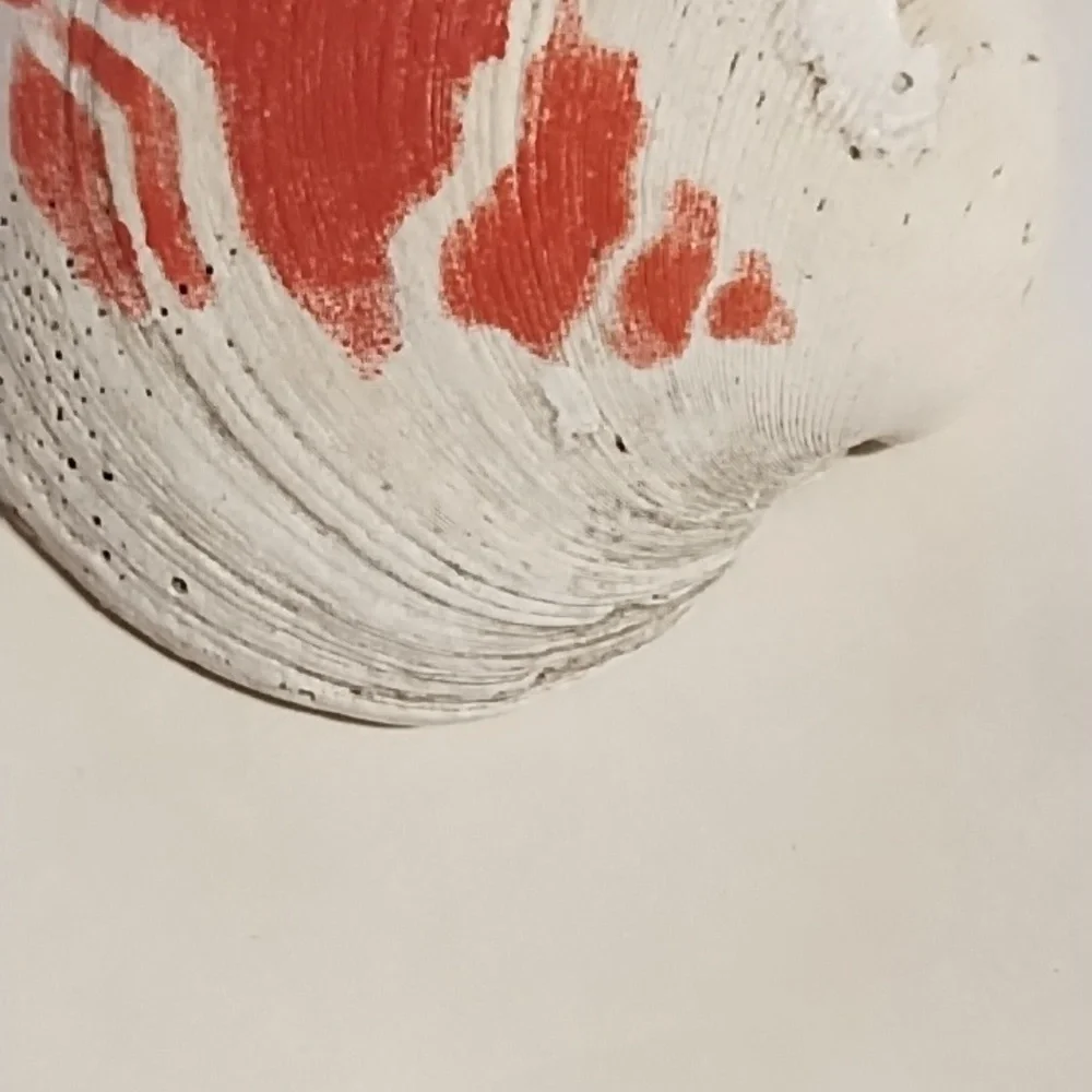 Large Shell with Coral Stencil Shell - Picture 4 of 5